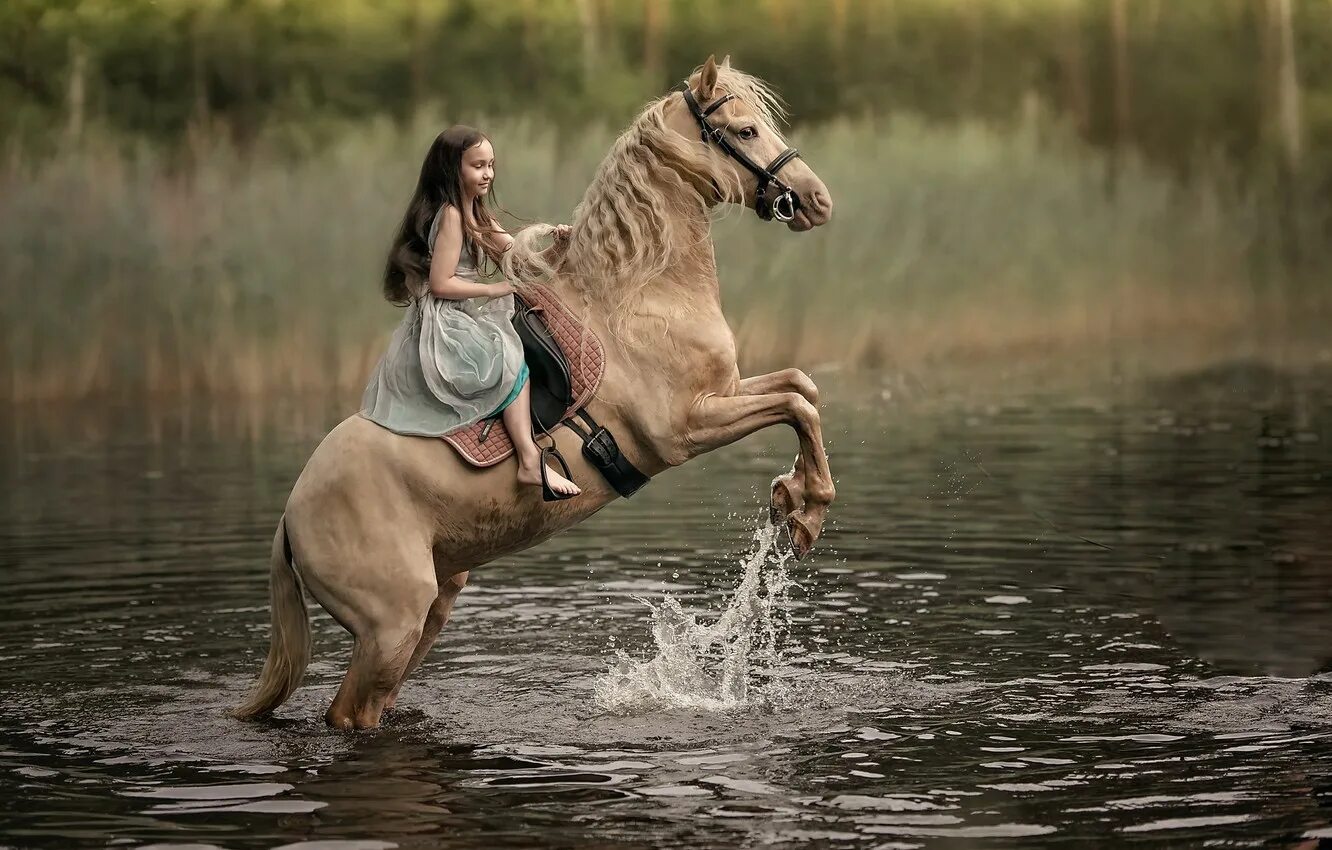 В кон через. Фотосессия с лошадью в воде. Девушка с лошадью. Девушка на коне. Девушка на лошади в воде.