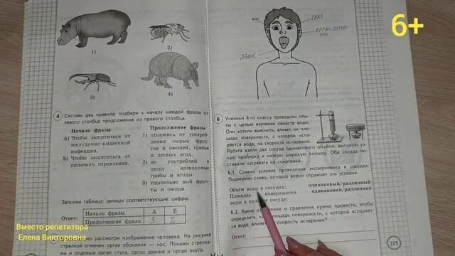 9 мая впр 4 класс окружающий мир. Впр.окружающий мир 4 класс. впр по окружающему миру 4 класс. впр по окружающему 4 класс. впр 4 класс окруж мир.