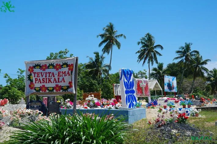 тонга отзыв