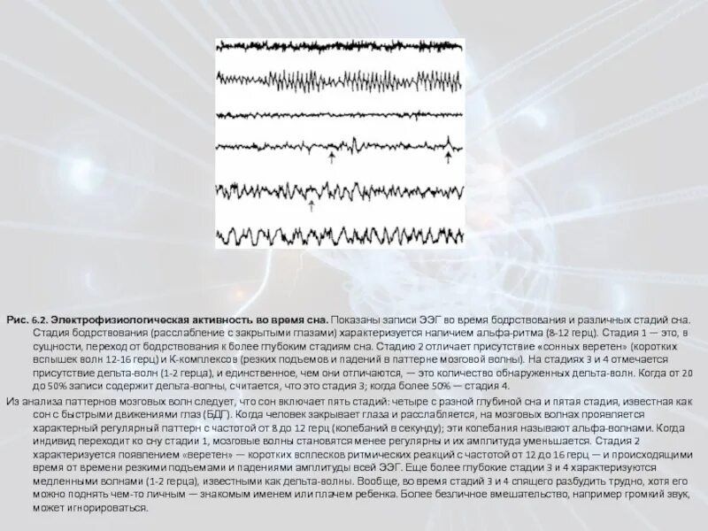 Веретена Альфа ритма на ЭЭГ. Сонные веретена и к-комплексы на ЭЭГ характеризуют. Электроэнцефалограмма фаз сна. Поверхностные фазы сна ЭЭГ. Записаться на ээг