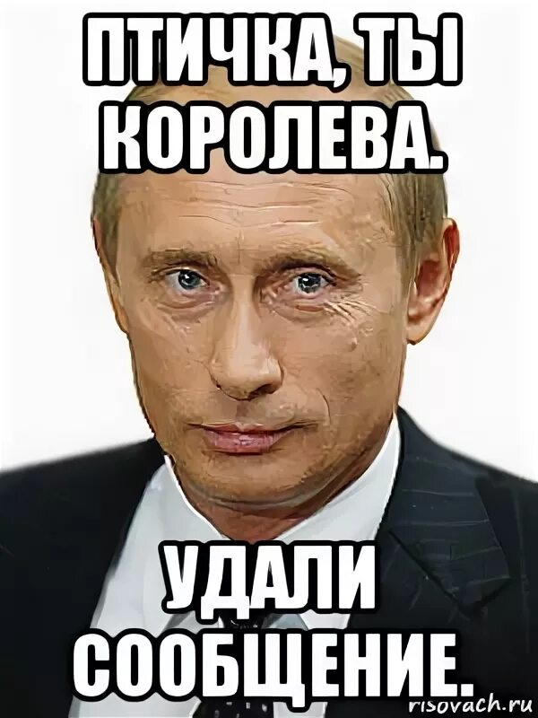 Удали сама. Удали Путин. Путин удали картинка. Удоли мемы Путин. Владимир Путин Мем удали.