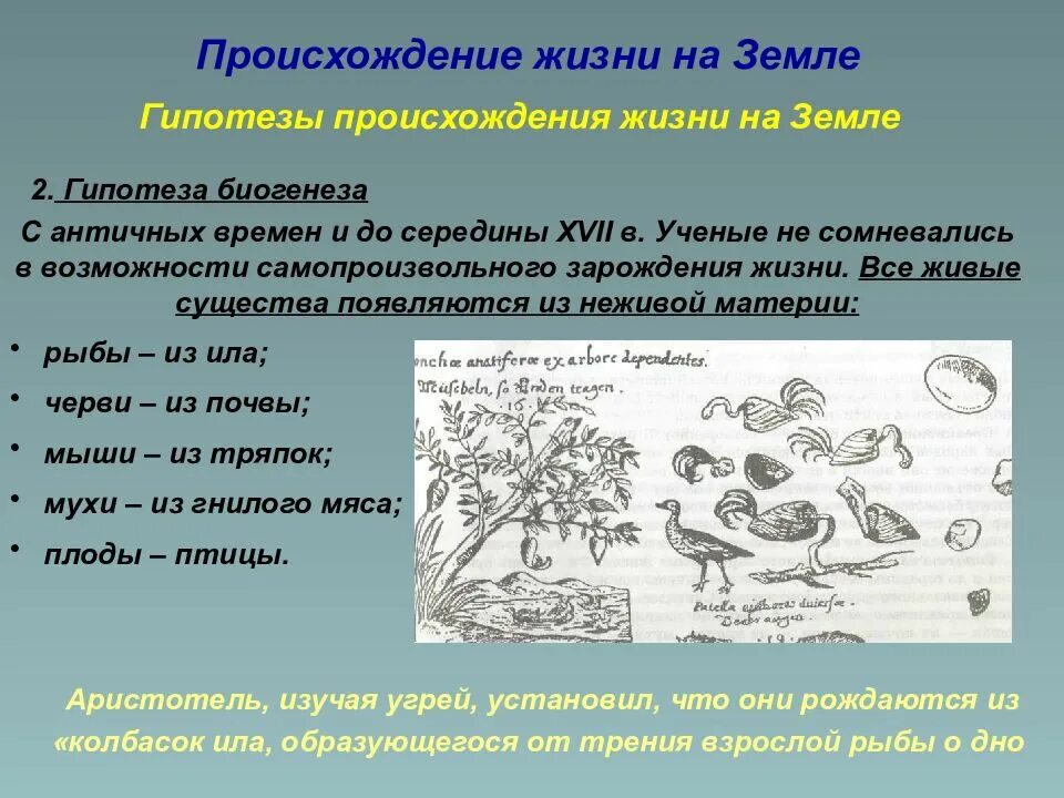 Происхождение жизни на земле. Появление жизни на земле. Теории происхождения жизни. Гипотезы происхождения жизни.