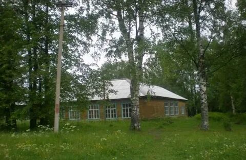 Борок костромской