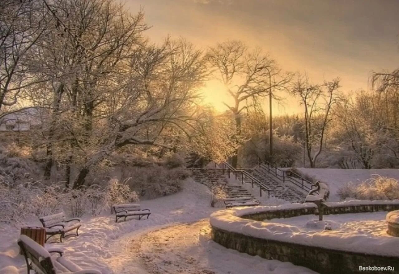 Зима ни. Зимний парк солнце. Зимний Солнечный парк. Зима утро парк. Зима солнце в парке.
