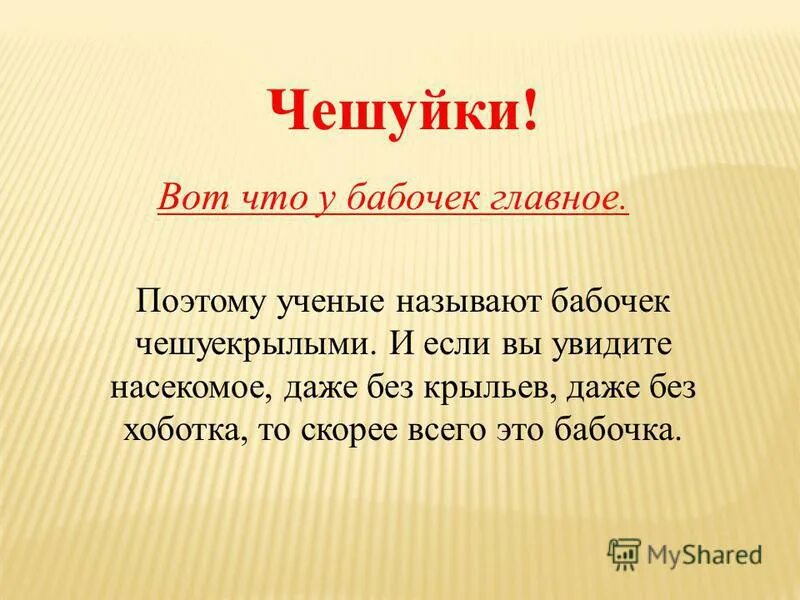 мальчик с крыльями. ангел со спины. парень с крыльями. даже без крыльев. даже без крыльев.