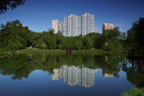 Юго западная ясенево. Район Коньково. Пруд в Беляево. Коньково Москва. Реки района Коньково.