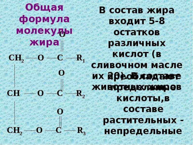 Какой остаток входит в состав жира. Общая формула молекулы жира. Общая формула жиров химия. Жиры общая структурная формула. Состав и общая формула жиров.