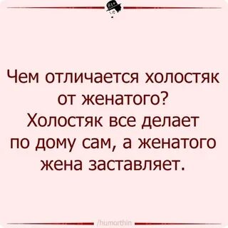 Холостяк женился