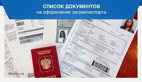 Какие документы и как оформить