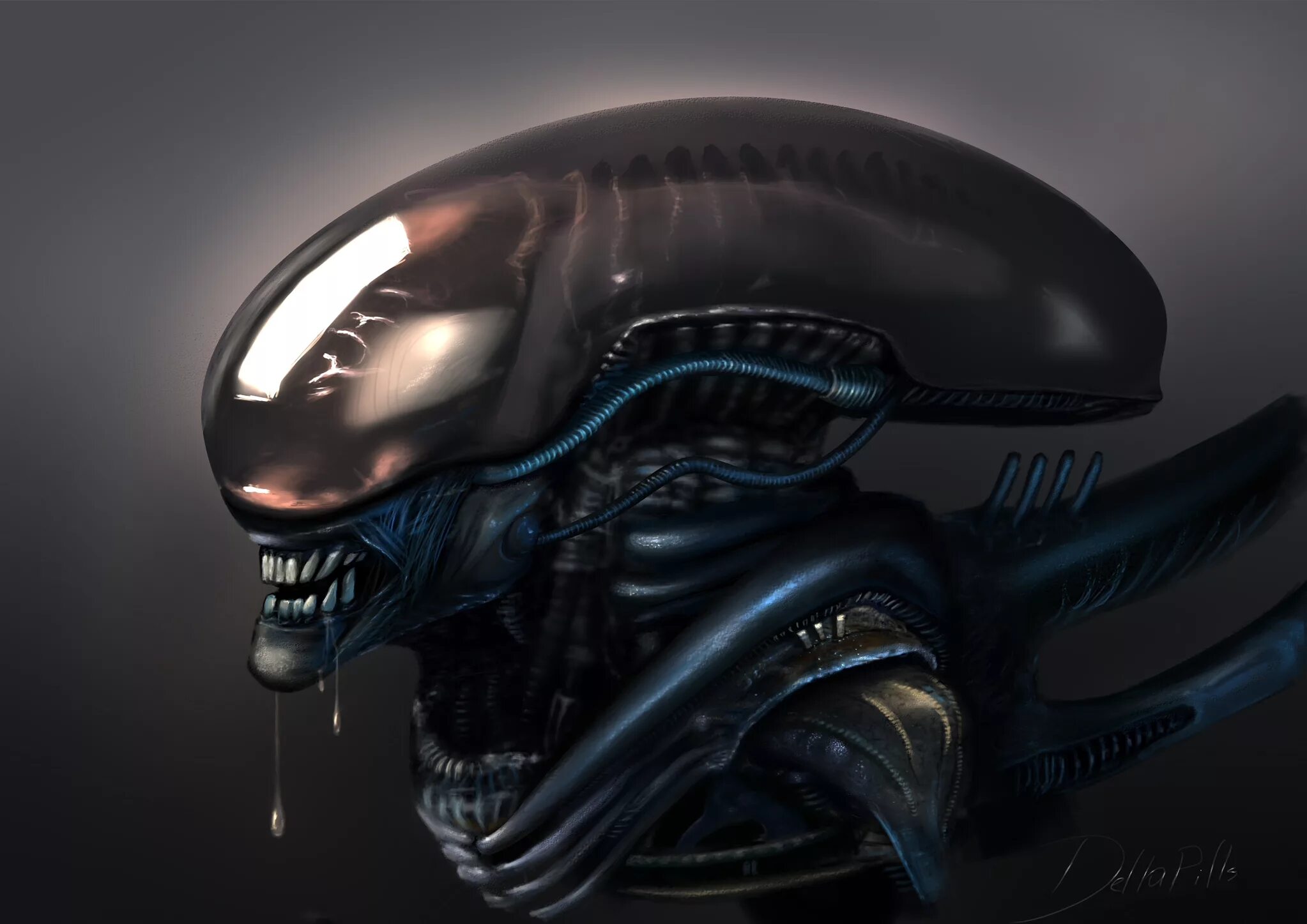 Alien Ксеноморф Xenomorph. Ксеноморф солдат. Ксеноморф Жук.