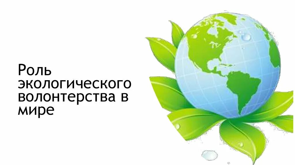 Роль экологии в обществе. Роль экологии. Волонтерство в экологии презентация. Важность экологии.