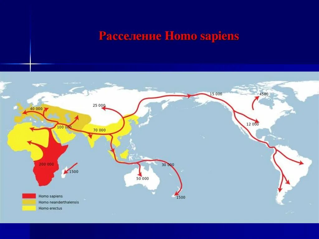 Расселение и миграция. Расселение человека из Африки карта. Карта миграции хомо сапиенс. Переселение homo Erectus карта. Расселение древних людей по земному шару.