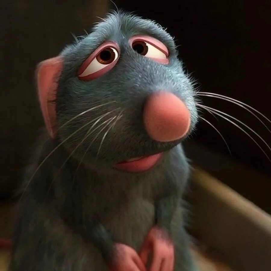 Рататуй слушать. Реми рататуй. реми из мультика рататуй. отец реми рататуй.