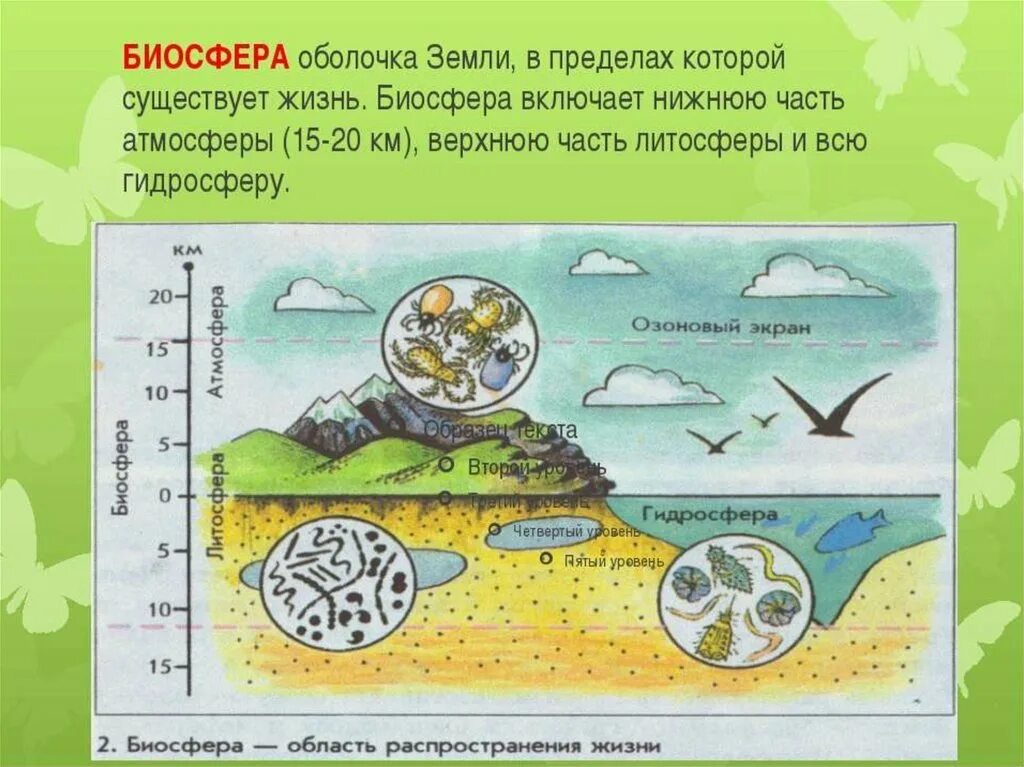 Конспект биосфера оболочка жизни. Биосфера. Биосфера оболочка земли. Биосфера рисунок. Оболочка земли пиросферу.