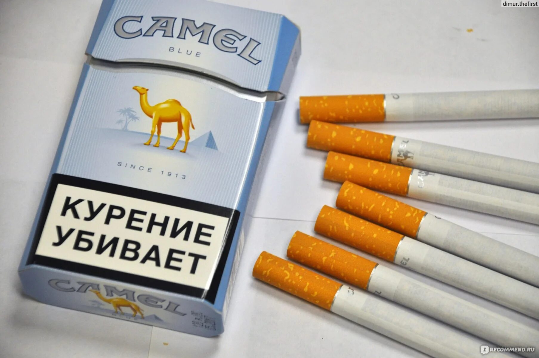 Кемал компакт. Сигареты Camel Blue. Camel 1913 пачка сигарет. Сигареты Camel Compact синий. Сигареты кэмел оригинал Блю (Camel Original Blue).