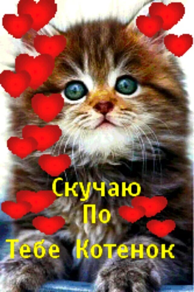 Кис ти