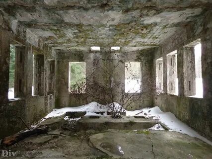 Зеленый холм туберкулезная