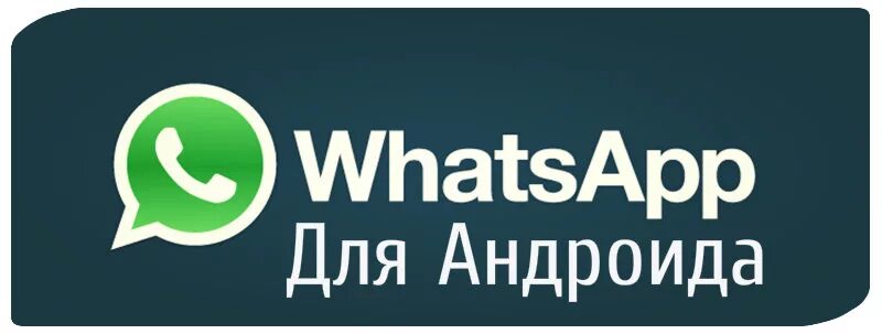 WHATSAPP загрузка. Загрузить приложение ватсап.