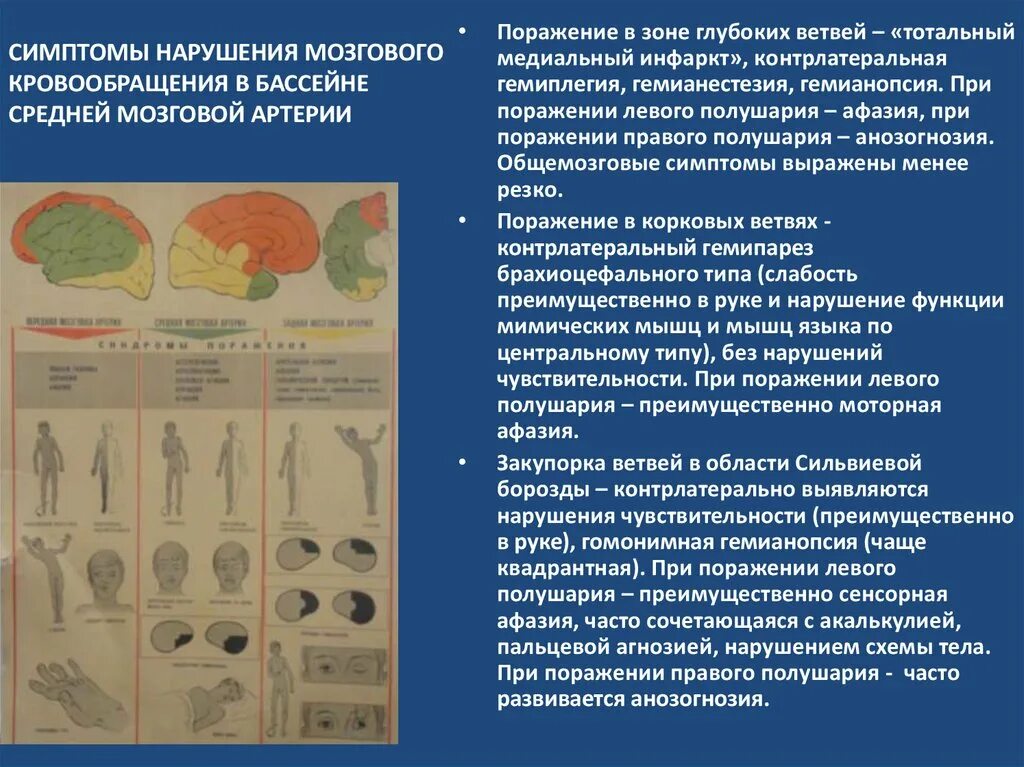 Афазия при нарушении мозгового кровообращения. Симптомы нарушения высших мозговых функций презентация. Контрлатеральный гемипарез. Нарушение чувствительности при инсульте. Инсульт левосторонний гемипарез