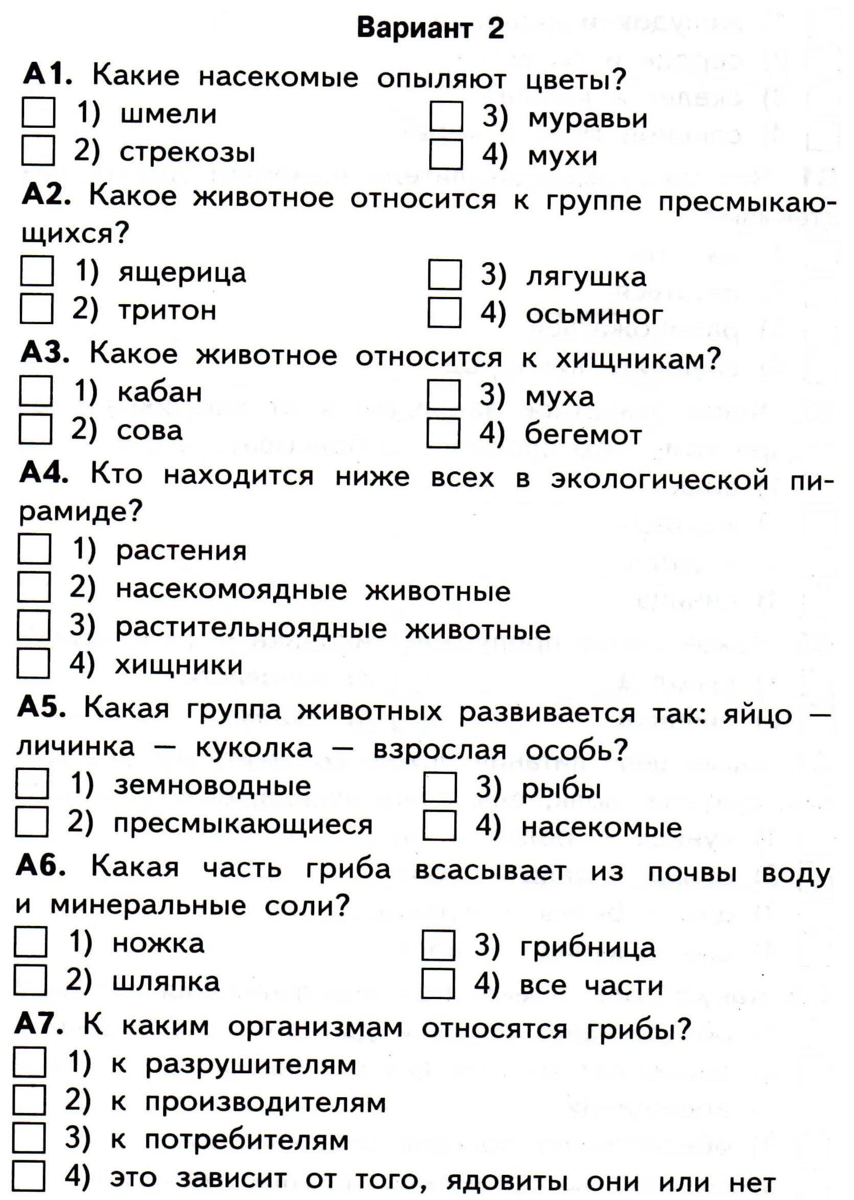 К каким организмам относятся грибы. К каким организмам относятся грибы 3. Тест по окружающему миру Растениеводство. К каким организмам относятся грибы 3 класс окружающий мир ответы. Музыка 5 класс 3 четверть контрольная работа