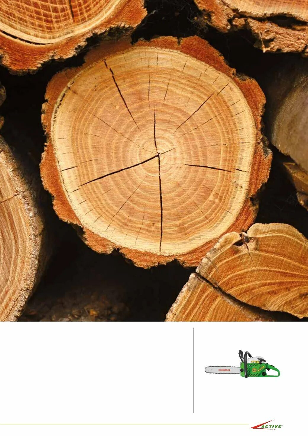 Живица лиственницы. Розовый бук дерево. Шпон экзотических пород. Все породы деревьев смолистых. Все породы деревьев смолистых.