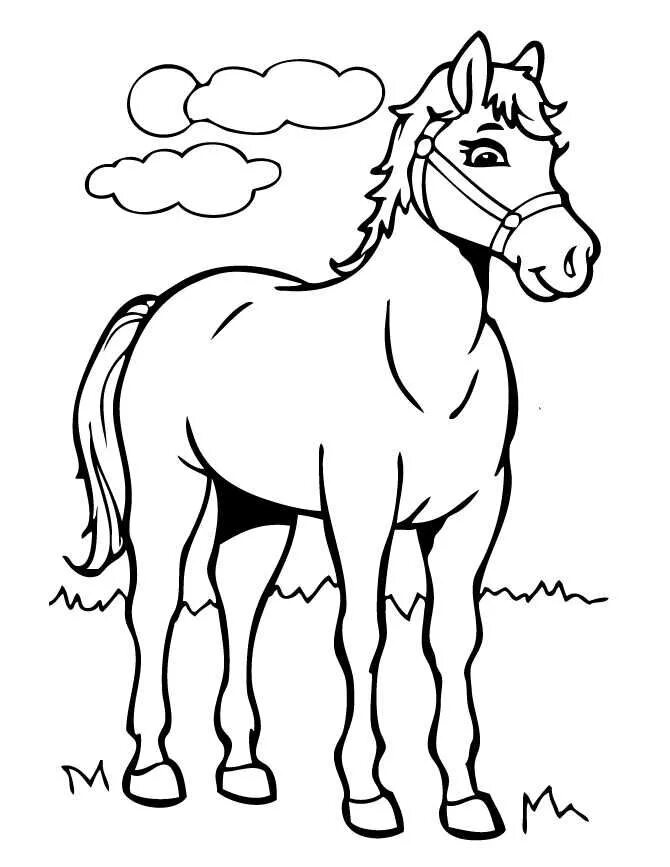 horse coloring pages How to Draw Angus, Angus the Horse, Brave, Step by Step, Mo