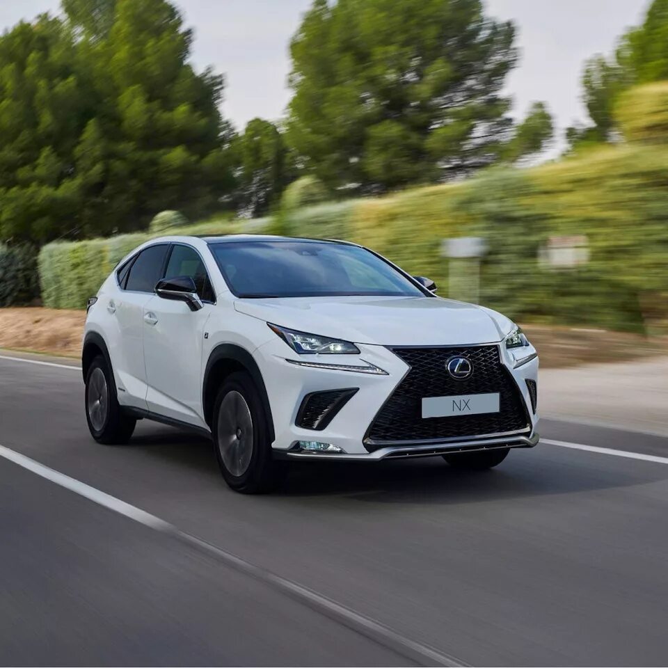 Лексус nx300. Лексус nx300 2019. Лексус НХ 300h. Lexus NX 300. Lexus nx 300h