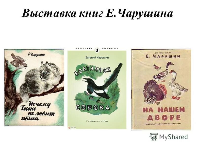 Иллюстрации к книгам е. Чарушин аудио. Чарушин аудио. Чарушин щур иллюстрации. Чарушин книги о животных.