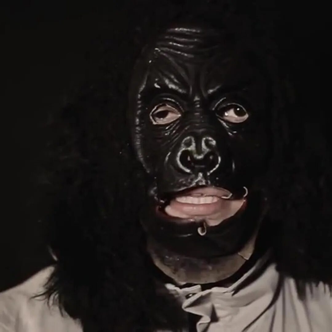 Первый альбом паши техника