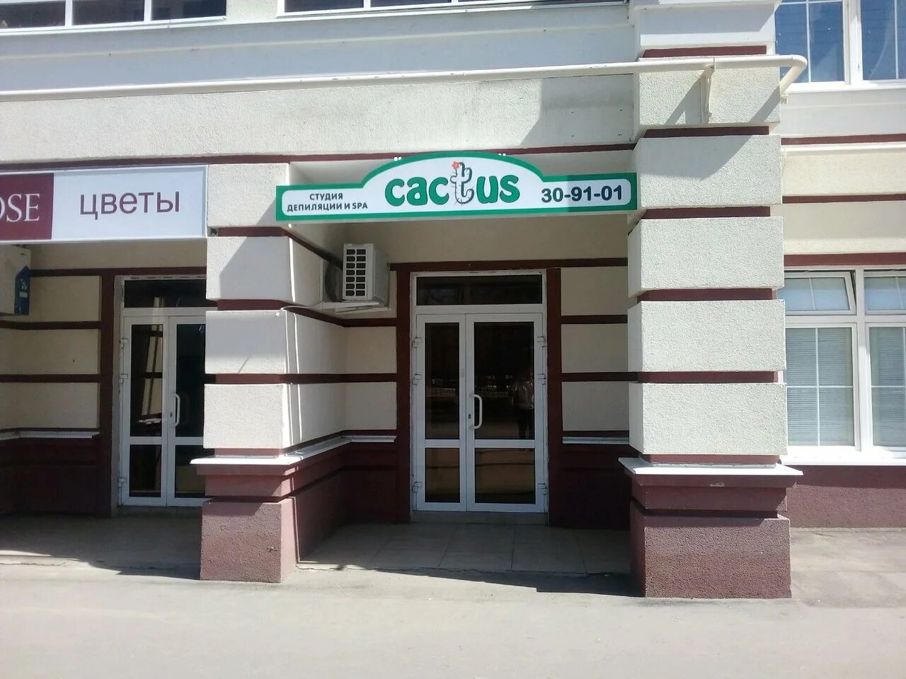 Кактус саранск. Кактус саранск. Эхинокактус грузони рейнбоу эхинокактус грузони рейнбоу. Студия депиляции кактус. Пролетарская 38 саранск на карте.