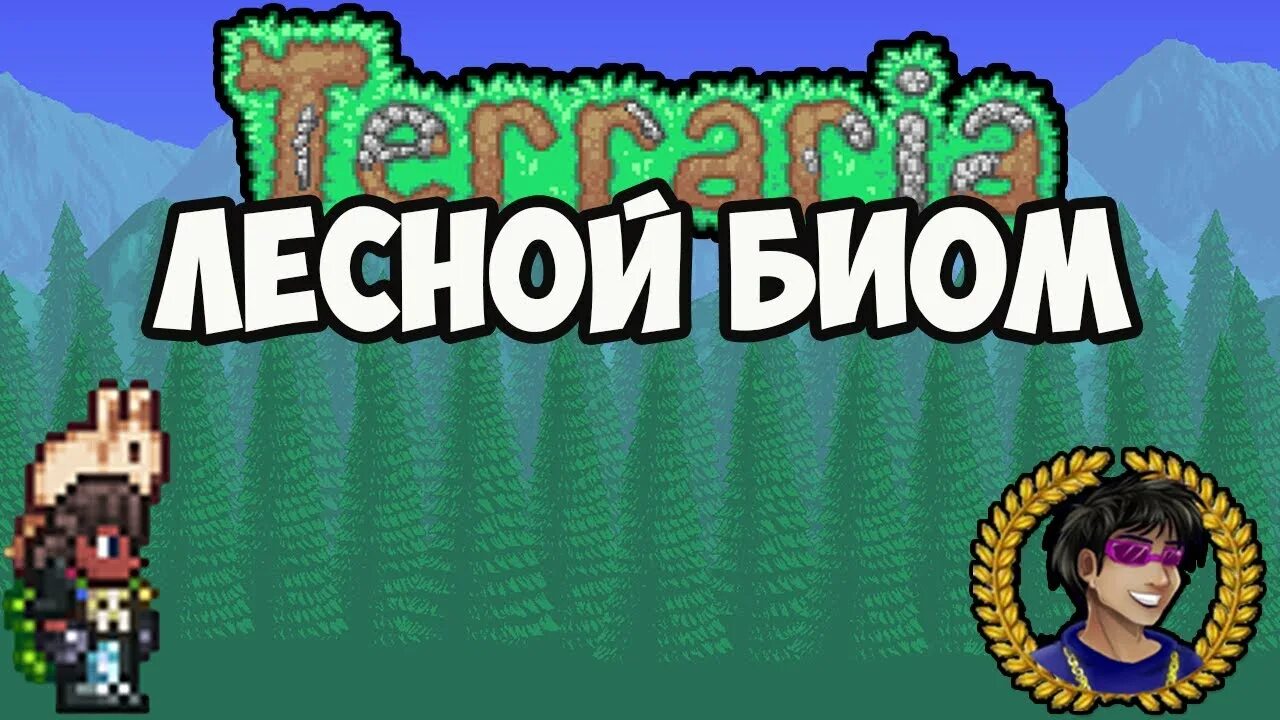 Terraria 2024. Гель террария. Как сделать Святой биом в террарии.