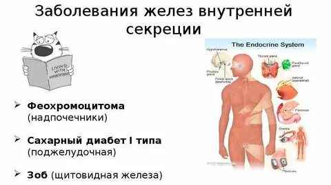 Заболевания связанные с железом