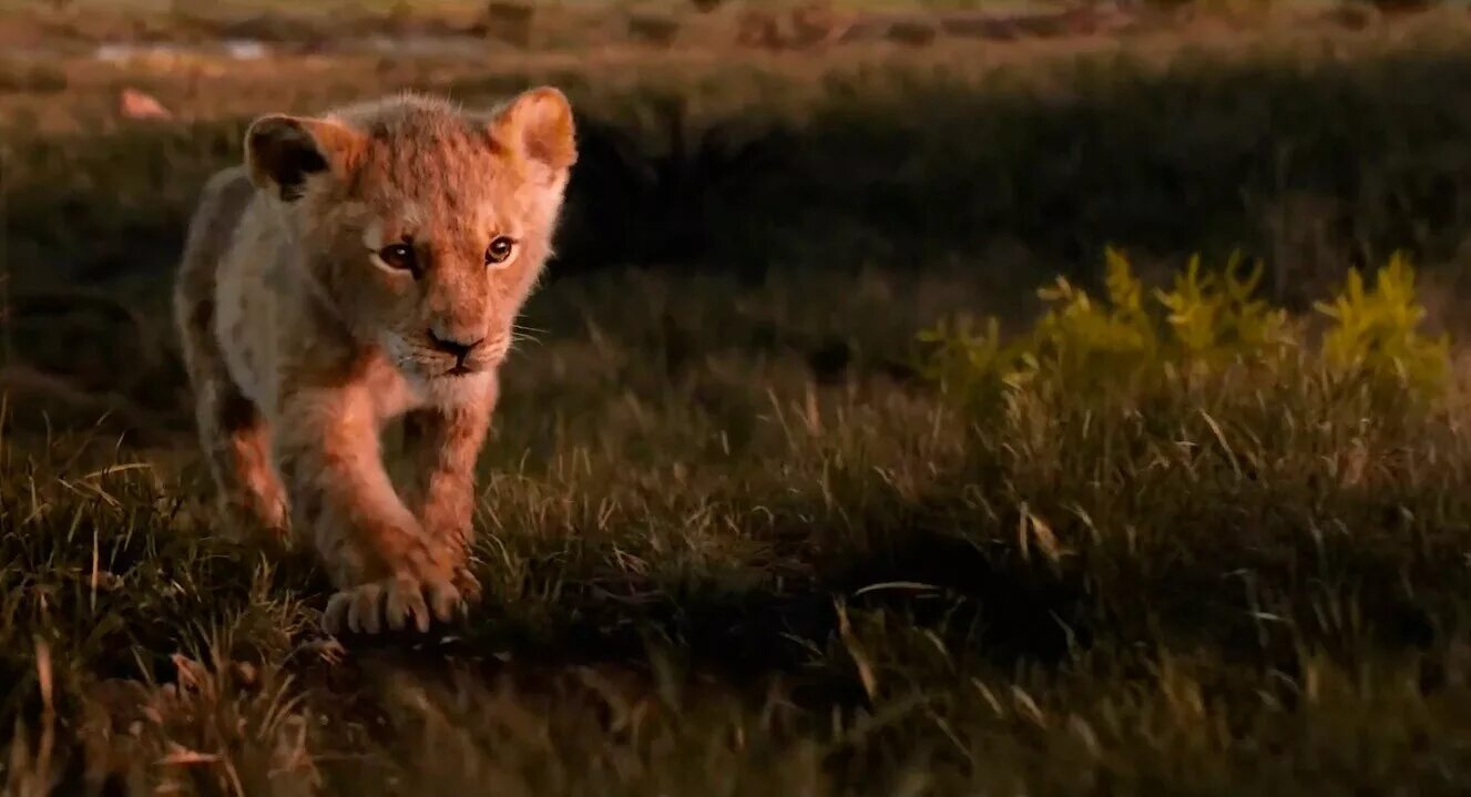 Гиены король лев. Король лев 2019 гиены. Король лев трейлер на русском. Король лев трейлер на русском. Король лев 2019 сараби.