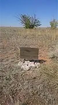 Погода волгоград кузьмич