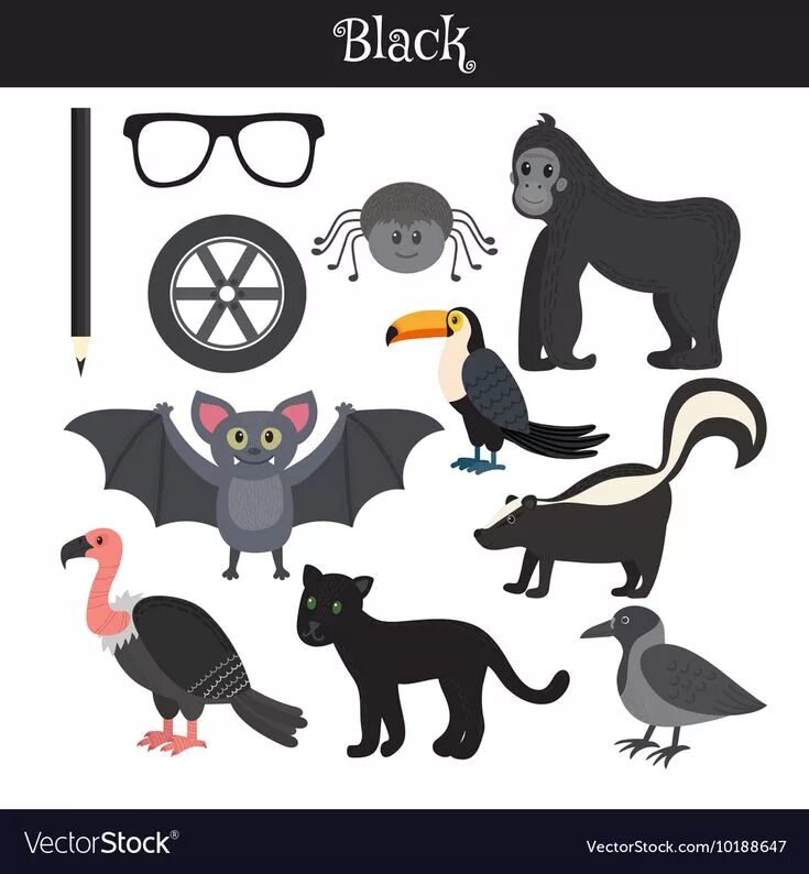 Black learn
