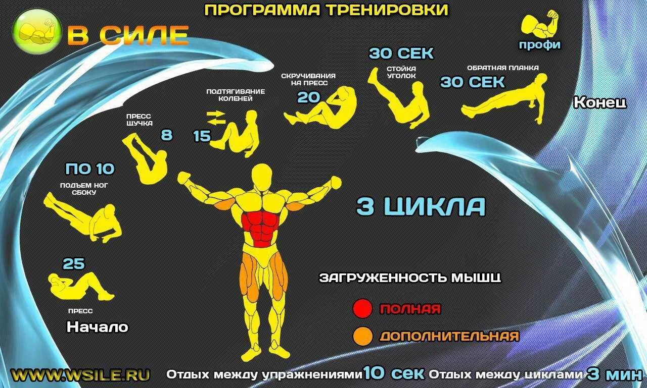 Тренировка дома для мужчин программа без инвентаря. Программа тренировок дома для мужчин. Упражнения для домашней тренировки для мужчин без инвентаря. План домашних тренирова. Занятие для похудения мужчин