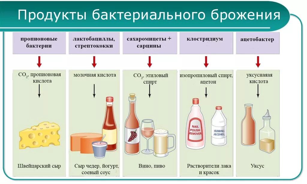 Продукты брожения. Продукты, вызывающие брожениброжение. Продукты вызывающие брожение в организме. Продукты вызывающие брожение в кишечнике. Продукт реакции брожения