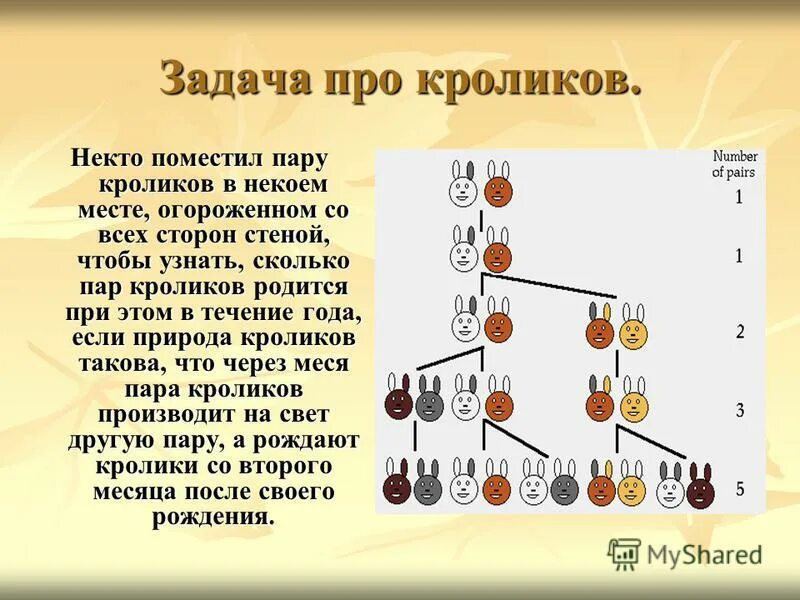 задача в путь на третий этаж. задача о разбиении. задача про лошадей. задача про фонарь и мост. обувь задания.