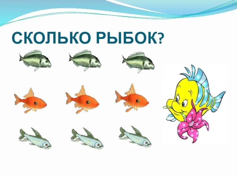 Рыбку какое число. Рыбы кто это для детей. Сколько лет рыбке. Игра сколько рыбок. Сколько рыбок в мире.