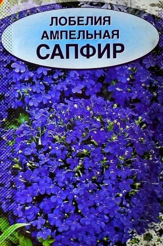 Лобелия ампельная сапфир. Лобелия сапфир. лобелия ампельная сапфир семена. лобелия сапфир ампельная аэлита. лобелия сапфир 0,05г ампельная синяя с глазком.