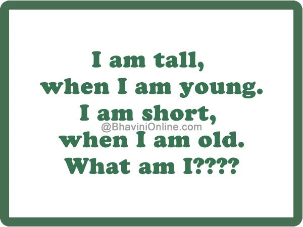 When i am popped. When i was young игра. im tall when i&#039;m young and i&#039;m short when i&#039;m old. when i am older. i am tall.