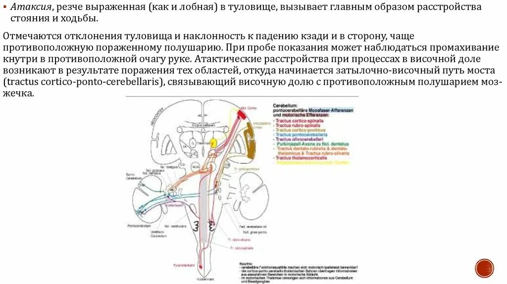 Вестибуло атактический синдром что это. Корковая лобная атаксия. Корковая атаксия симптомы. Лобная атаксия симптомы. Туловищная атаксия.