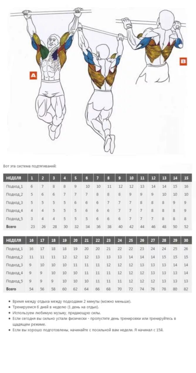 Сколько надо подтягиваться. Подтягивания схема тренировок. График подтягиваний на турнике с нуля. Программа подтягиваний на турнике с нуля таблица. Схема тренировок подтягивания на турнике.