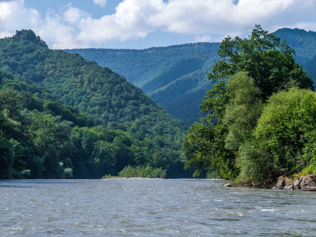 White river. Река белая Майкоп. Река белая Краснодарский край. Река Кубань Адыгея. Река белая Кубань.