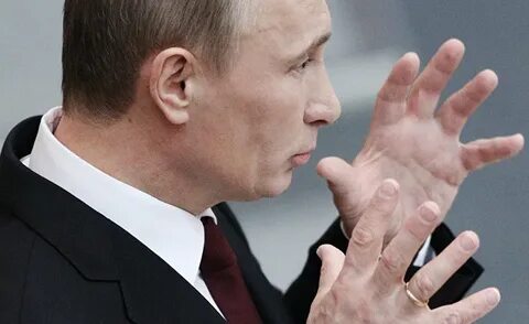 Сегодня рук
