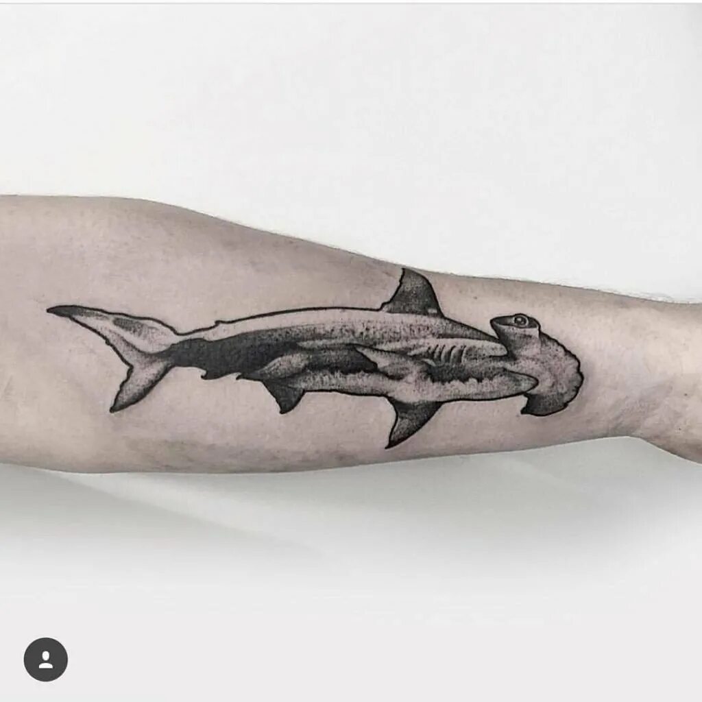 Что значит акула. Тату акула. Тату акула на руке. Тату акула. Тату акула.