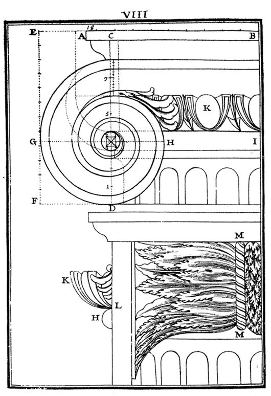 Валюта ордера. Капитель Ионического ордера. Капитель Ионического ордера построение. Капитель Ионического ордера чертеж. Капитель Римско Ионического ордера.
