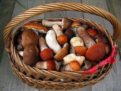 Картинка корзина с грибами