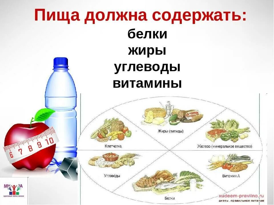 Где содержатся белки жиры и углеводы. В каких продуктах содержится белок жиры углеводы. Продукты в которых содержатся белки жиры и углеводы. Продукты содержащие белок жиры и углеводы витамины.