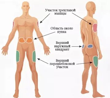 В какое место он это сделал